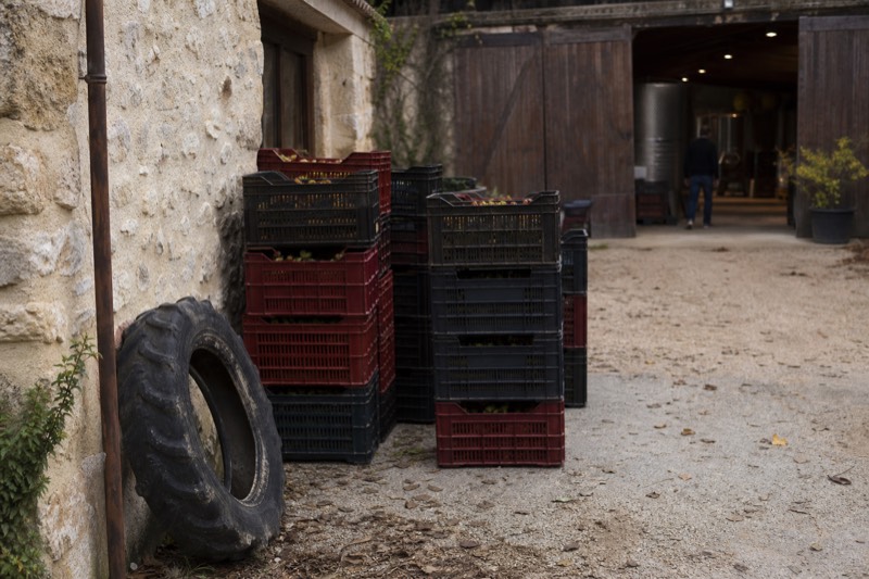 Chateau Labrie Guided Winery Tour & Tasting