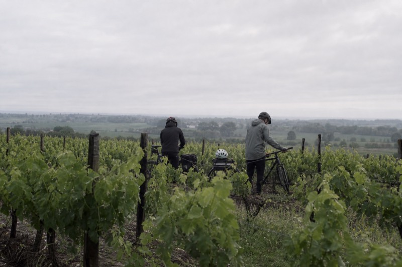 Saint-Emilion Electric Bike Day Tour with Wine Tastings