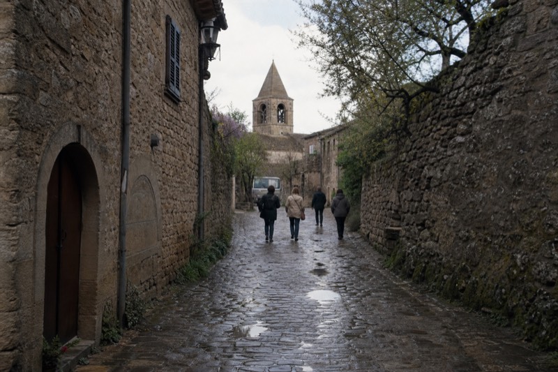 Saint-Emilion Wine Tasting Half-Day Tour from Bordeaux