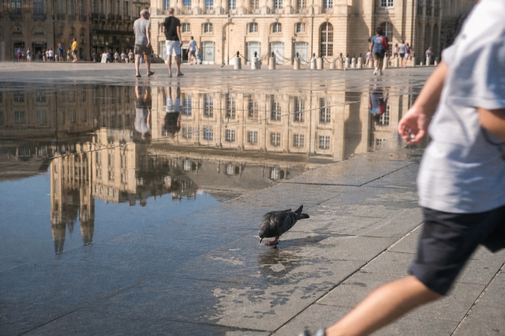 Historic Bordeaux city square with classical stone facades, no text, no logos, no people.