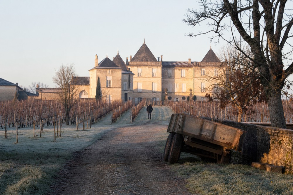 A stone chateau with a limestone facade above rows of vines, no text, no logos, no people