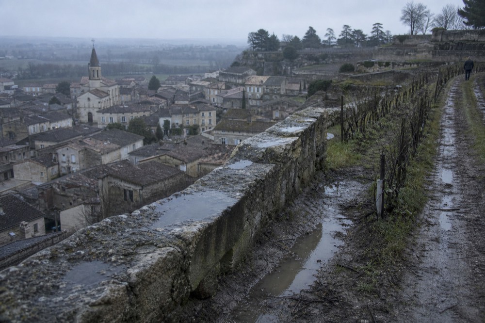 Limestone terrace vineyard above the medieval village of Saint Emilion, no text, no logos, no people