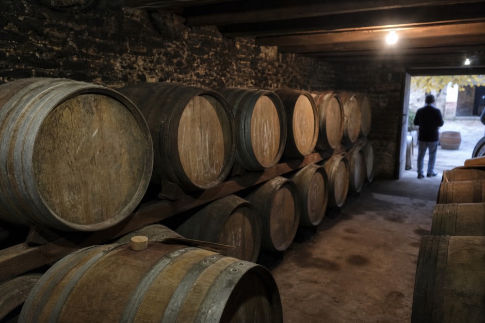 Barrel cellar with oak barrels aging Saint Emilion red wine, no text, no logos, no people